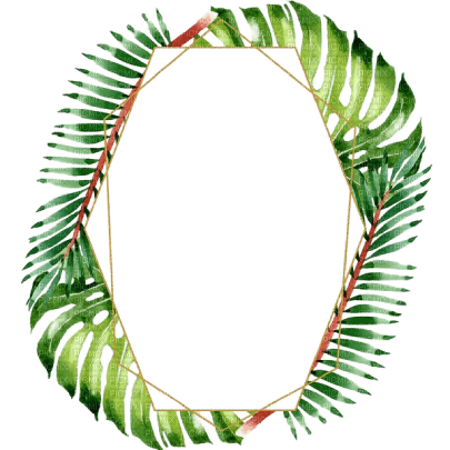 kikkapink palm tree frame summer - PNG gratuit