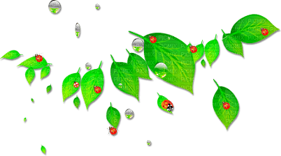 soave  ladybug deco leaves red green - PNG gratuit
