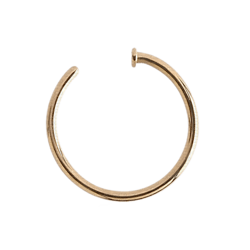 Nose Ring-RM - Free PNG