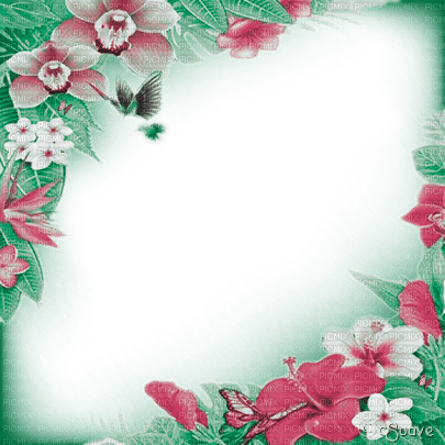 soave frame summer tropical  pink green - Free PNG