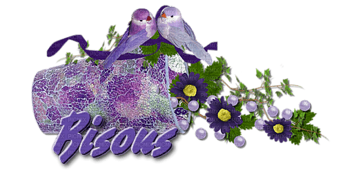 Bisous des oiseaux - PNG gratuit