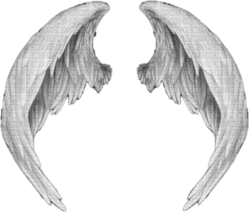 angel-wings-ängel-vingar - png gratis