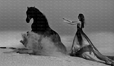 Horse - Besplatni animirani GIF