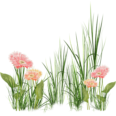 flores transparentes dubravka4 - png ฟรี