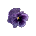 lila-flower1 - ücretsiz png