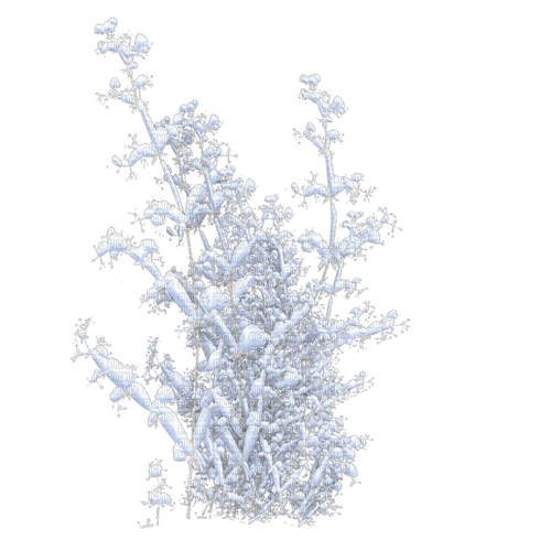 vinter  buske-----winter bush - nemokama png