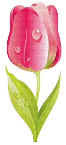 Tulip - GIF animé gratuit