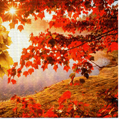 Rena Hintergrund Herbst Sonne Landschaft - GIF animé gratuit