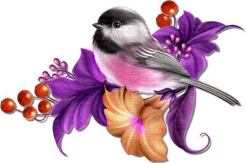 Oiseau  Miriella - PNG gratuit