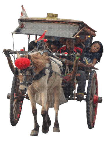 Paard 🐴 en wagen - PNG gratuit