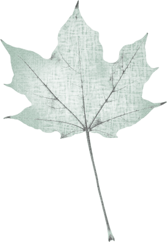 Maple Leaf Ahornblatt - ücretsiz png