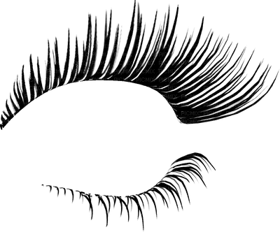 eyelash,eyeshadows, eyeliner bp - Free PNG
