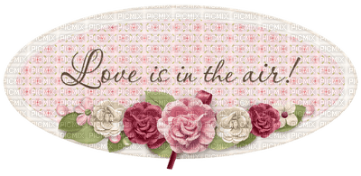 Kaz_Creations Valentine Deco Love Hearts Text Label - 免费PNG