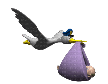 ani-fågel-stork-baby - Бесплатный анимированный гифка