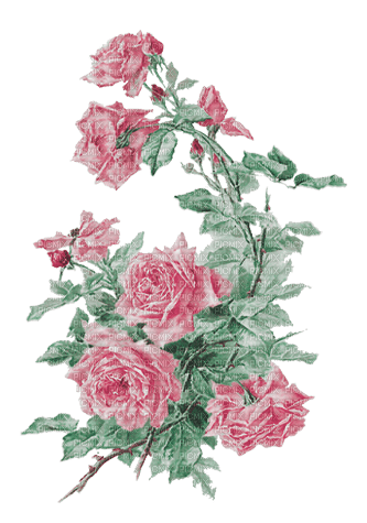 soave deco flowers rose branch vintage pink green - ilmainen png