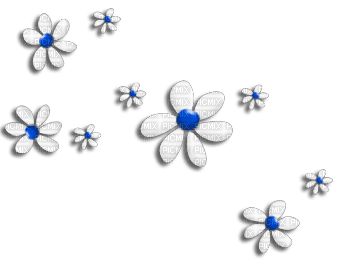 Blue Flowers - besplatni png