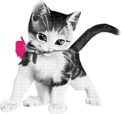 soave deco valentine animals cat flowers rose - PNG gratuit