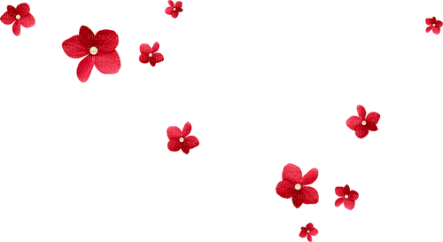 Flowers.Pearls.White.Red - PNG gratuit