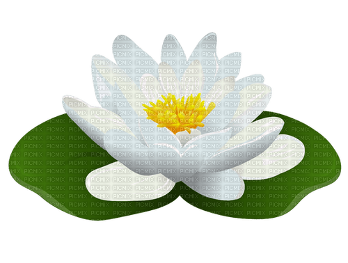 Lotus - PNG gratuit