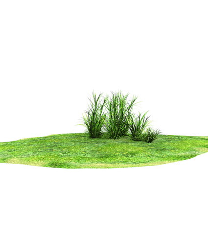ground/grass/shrub - nemokama png