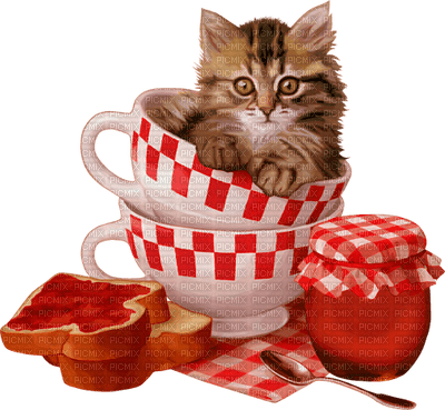 cat breakfast cups marmelade toast - png ฟรี