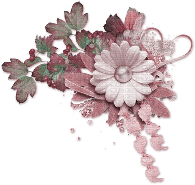 flowers anastasia - 無料png