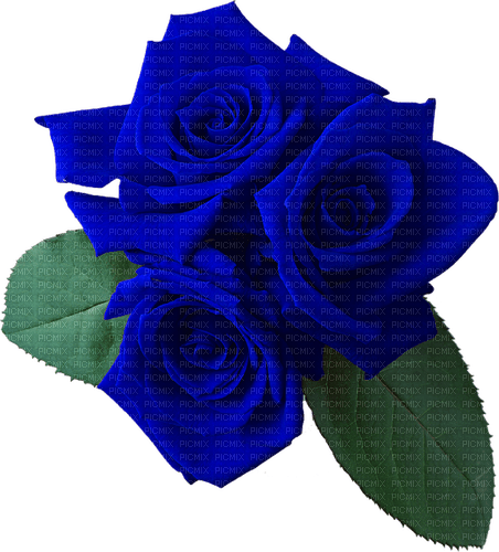 blue roses Bb2 - zadarmo png