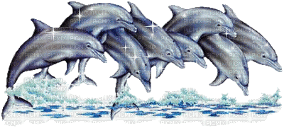 delfin db - Бесплатни анимирани ГИФ