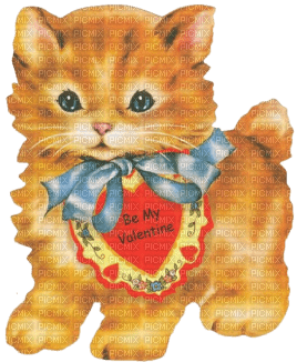 valentine cat valentin - ücretsiz png