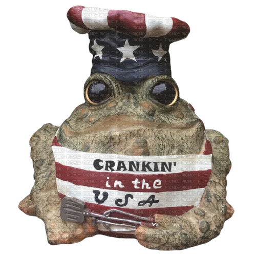 crankin in the usa toad toad hollow - gratis png