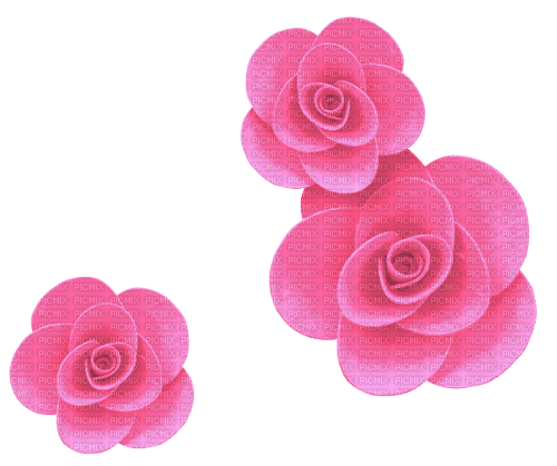 Roses.Flowers.Pink - 免费PNG