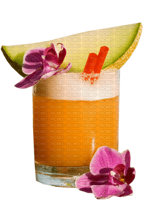 Kaz_Creations Drink Cocktail Deco - png gratis