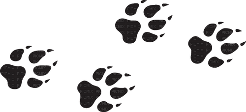 wolf pawprints - gratis png