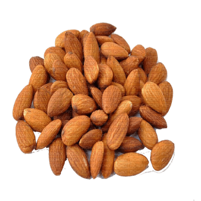 almonds - ingyenes png