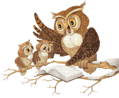 Kaz_Creations Birds Bird Owls Owl - PNG gratuit
