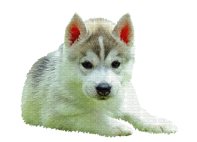 Kaz_Creations Animated Dog Pup - Bezmaksas animēts GIF