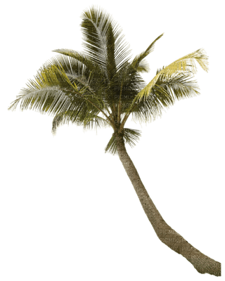 Kaz_Creations Deco Trees Tree Green - PNG gratuit