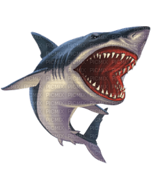 Kaz_Creations Shark - png gratis