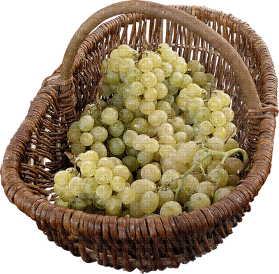 Grapes.Raisins.Uvas.Basket.Panier.Victoriabea - PNG gratuit