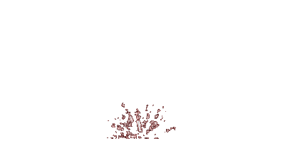 ani-nyår-fyrverkeri-firework - GIF animasi gratis