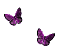 Butterfly Violet - Bogusia - фрее пнг