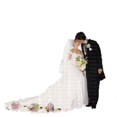 wedding couple bp, bridegroom , wedding , kissing - Free PNG - PicMix