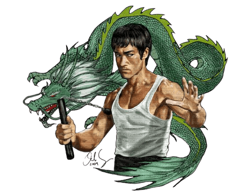 Bruce Lee,Dragon - besplatni png