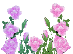 flowers - GIF เคลื่อนไหวฟรี