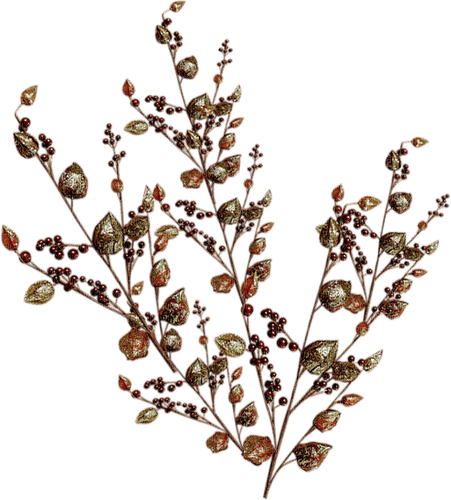 Ramas para decorar arreglos florales - PNG gratuit