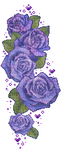Blue Roses - GIF animé gratuit