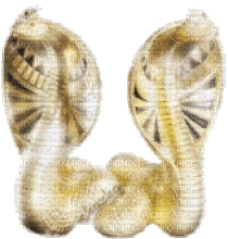 Золотые Змеи - Gratis geanimeerde GIF