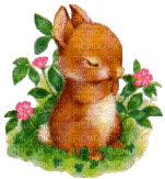 joli lapinot - Gratis animerad GIF