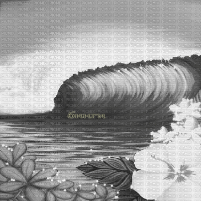 Y.A.M._Summer background flowers sea black-white - GIF animado grátis