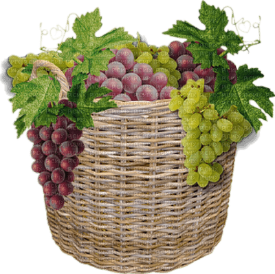 grapes bp - фрее пнг